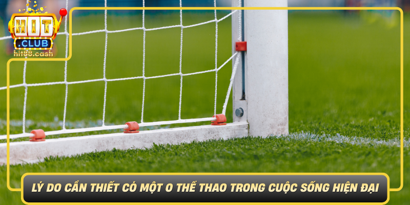 O Thể Thao – Sân Chơi Hoàn Hảo Cho Người Yêu Thể Thao 1 Ly Do Can Thiet Co Mot O The Thao Trong Cuoc Song Hien Dai