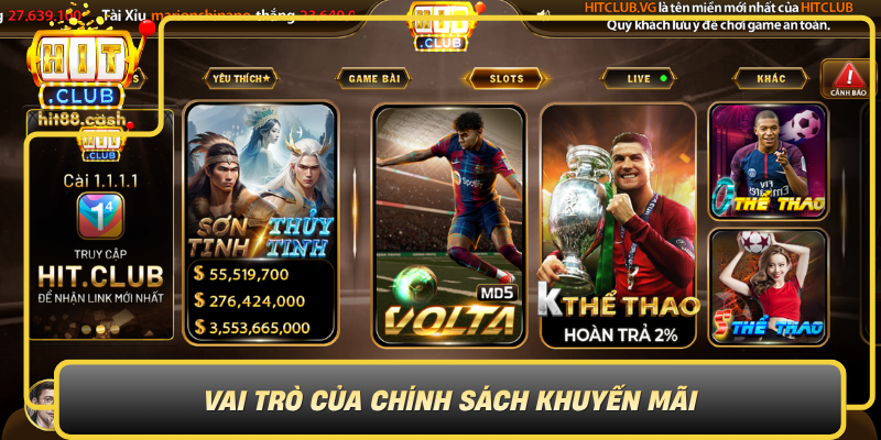 Vai Tro Cua Chinh Sach Khuyen Mai Trong Phat Trien Thuong Hieu0
